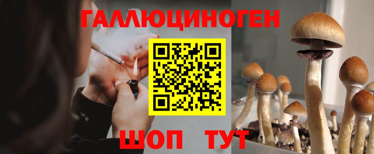 Ишим  где купить наркоту  Вход с VPN  Псилоцибиновые грибы мицелий 