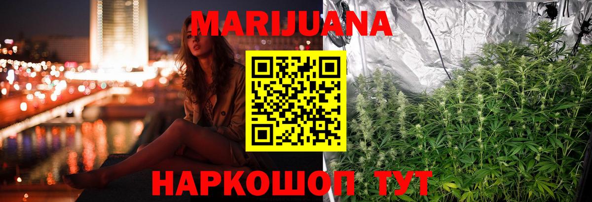 МАРИХУАНА сатива Ишим